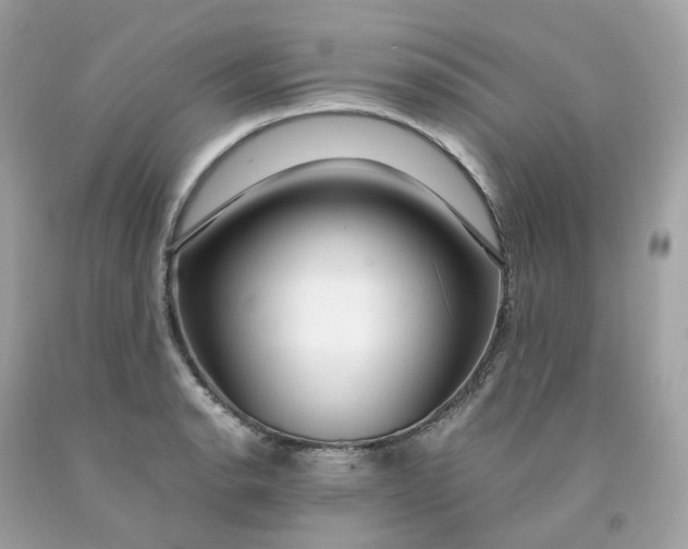 X0000091491134200709061855