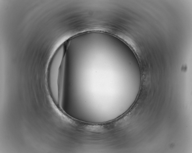 X0000091491135200709061855