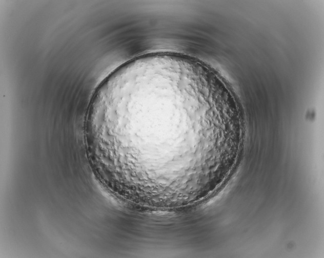 X0000091491137200709061855