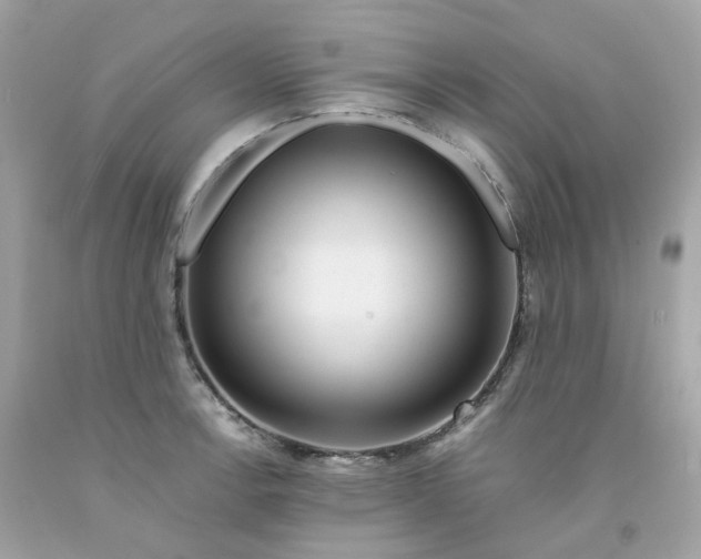 X0000091491138200709061855