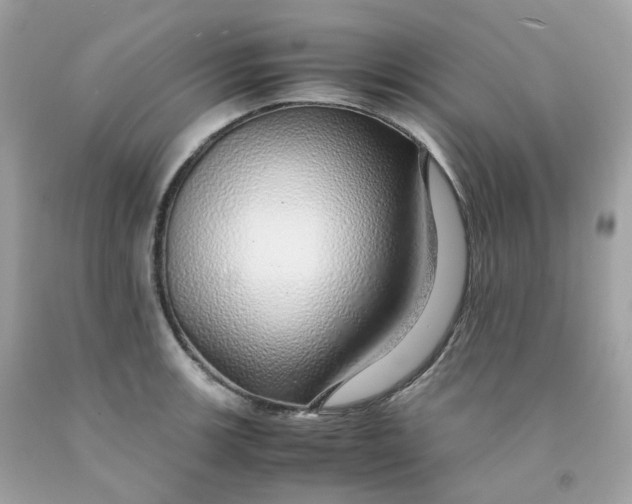 X0000091491139200709061855