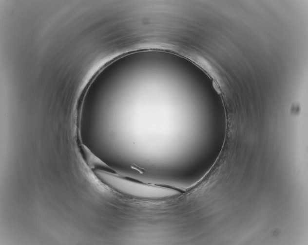 X0000091491140200709061855