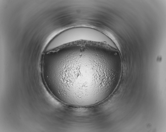 X0000091491141200709061855