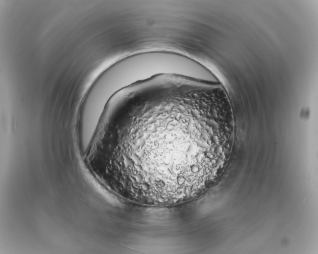 X0000091491142200709061855