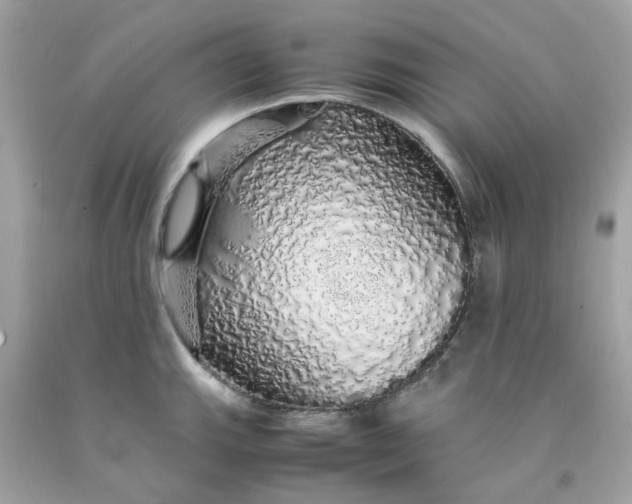 X0000091491143200709061855