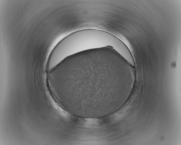 X0000091491144200709061855