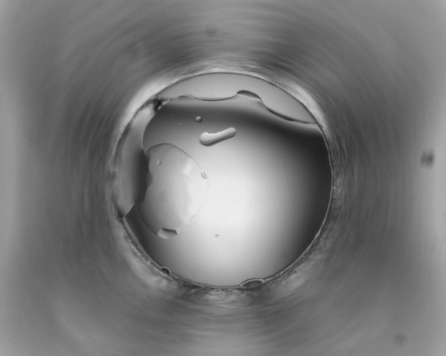 X0000091491146200709061855