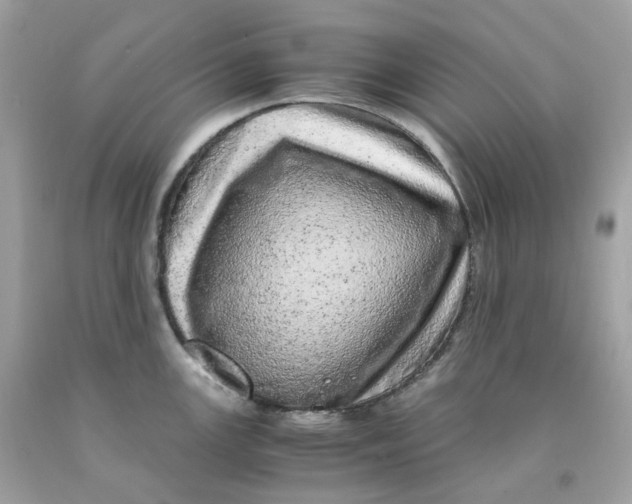 X0000091491147200709061855