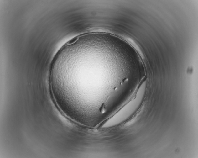 X0000091491149200709061855