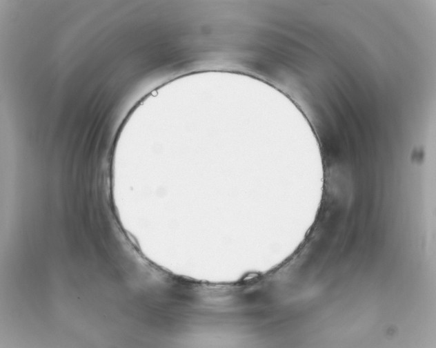 X0000091491150200709061855