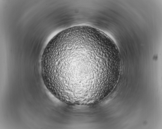 X0000091491151200709061855