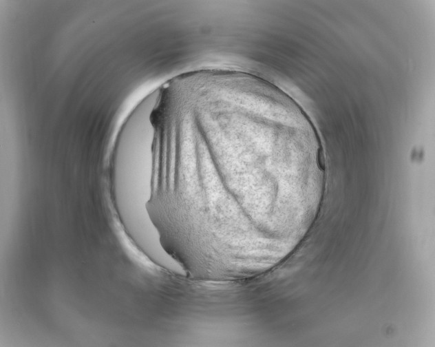 X0000091491152200709061855