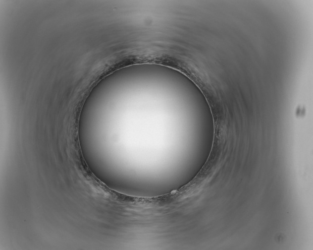 X0000091491153200709061855