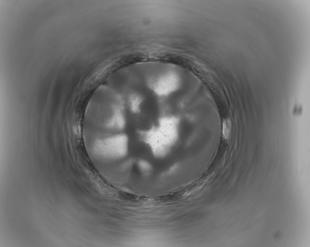 X0000091491155200709061855