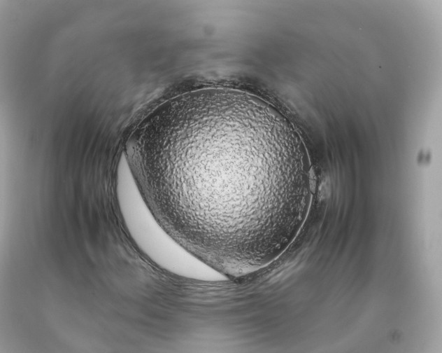 X0000091491156200709061854