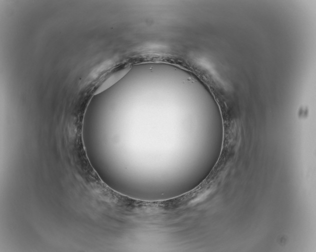 X0000091491157200709061854