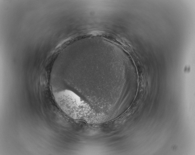 X0000091491158200709061854