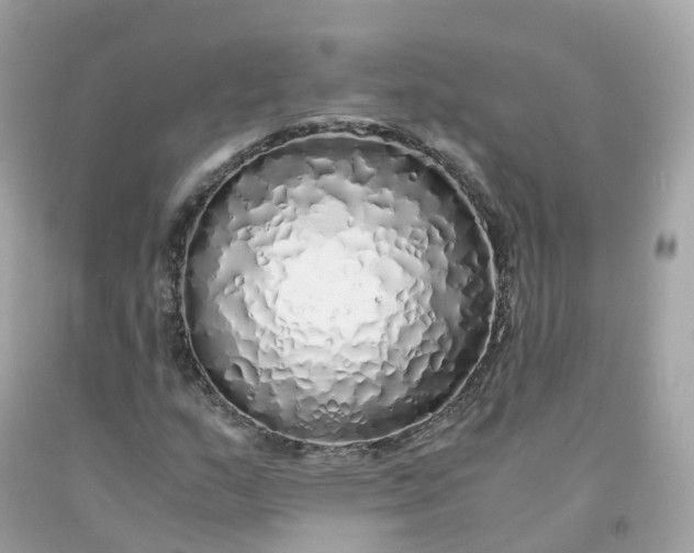 X0000091491159200709061854