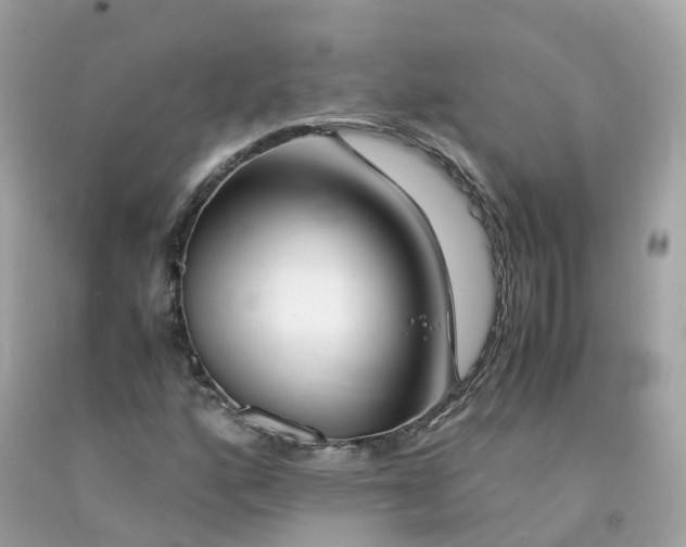 X0000091491160200709061854