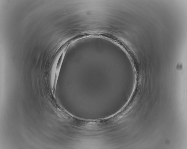 X0000091491161200709061854