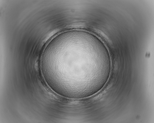 X0000091491162200709061854