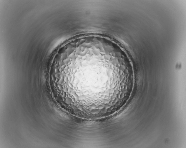 X0000091491163200709061854