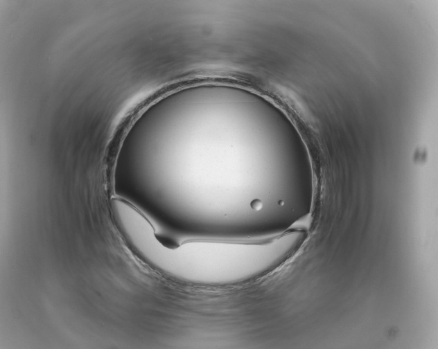 X0000091491164200709061854