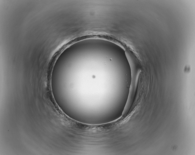 X0000091491165200709061854