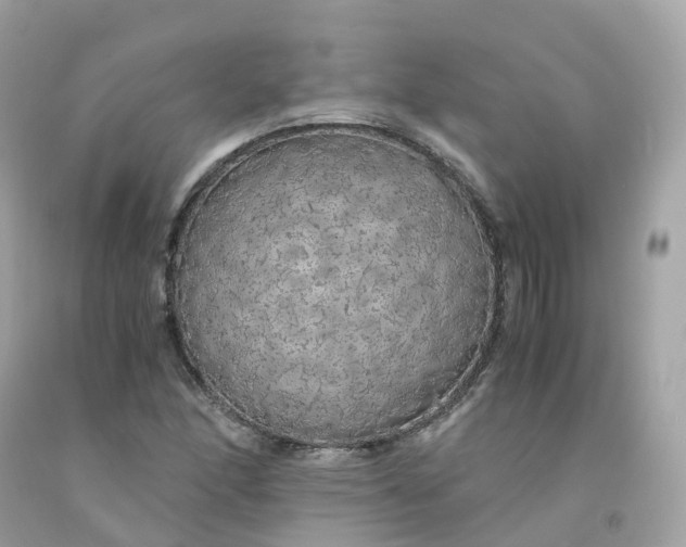 X0000091491166200709061854