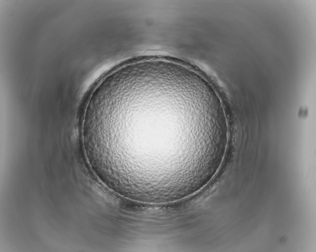 X0000091491167200709061854