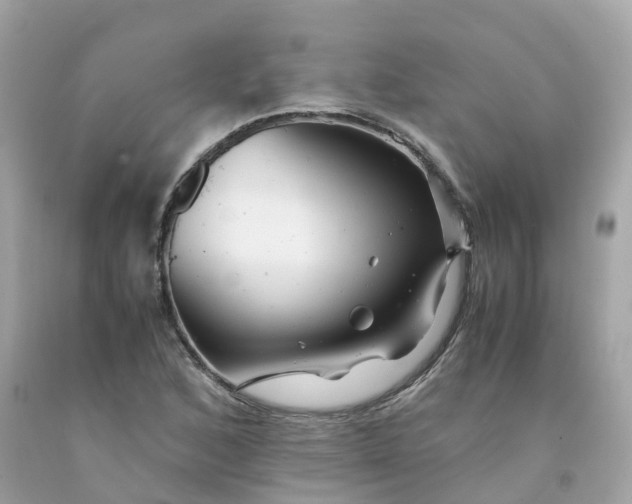 X0000091491168200709061854