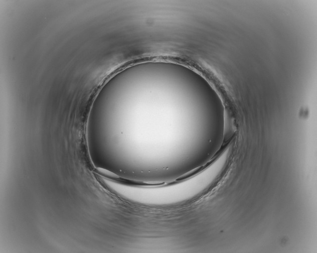 X0000091491169200709061854