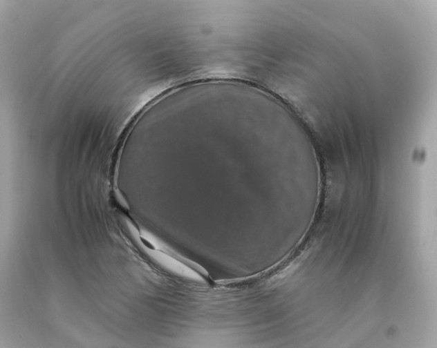 X0000091491170200709061854