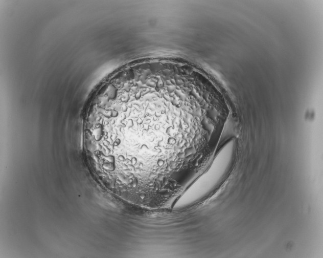 X0000091491171200709061854