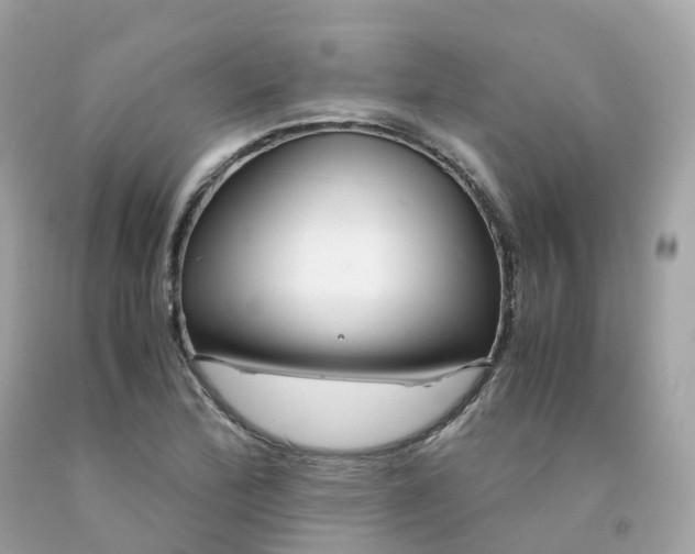 X0000091491172200709061854