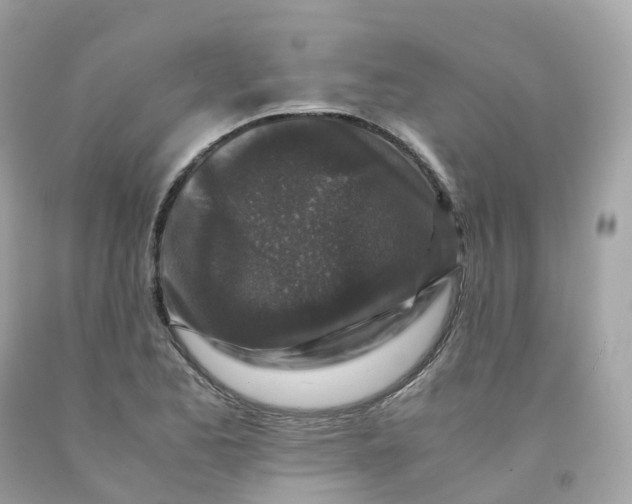 X0000091491173200709061854