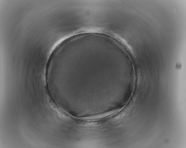 X0000091491174200709061854