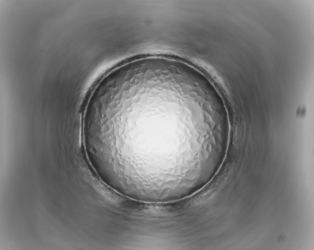 X0000091491175200709061854