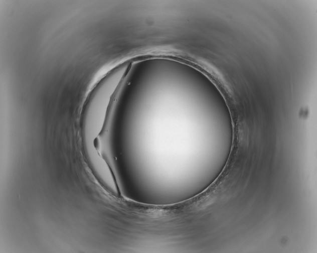 X0000091491176200709061854