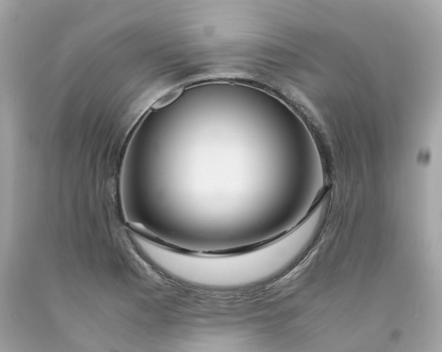 X0000091491177200709061854