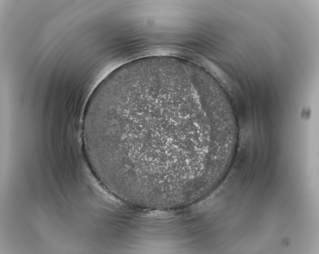 X0000091491178200709061854