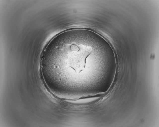 X0000091491179200709061854