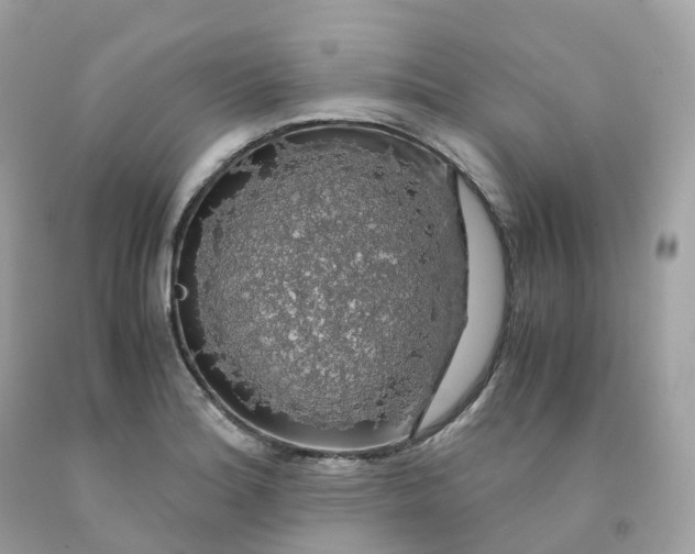 X0000091491180200709061854