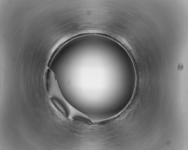 X0000091491181200709061854