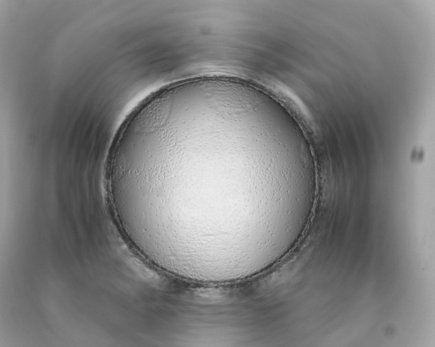 X0000091491182200709061854