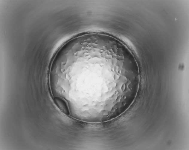 X0000091491183200709061854