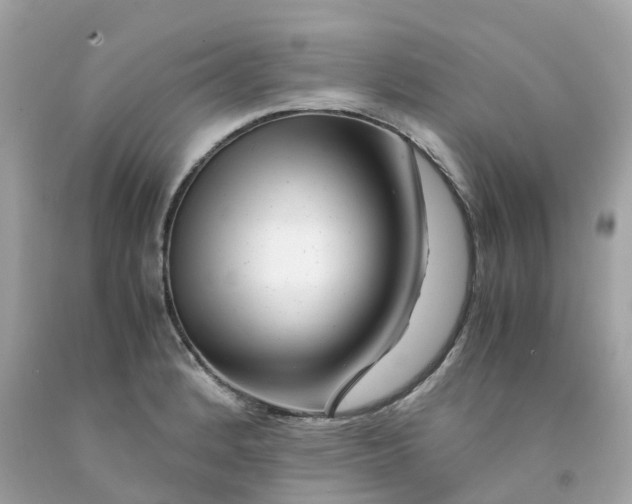 X0000091491184200709061854