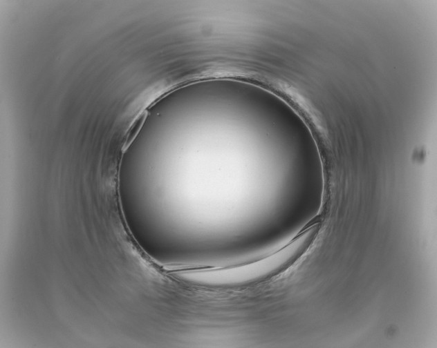 X0000091491185200709061854