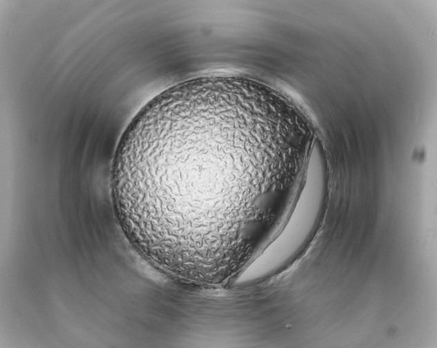 X0000091491186200709061854