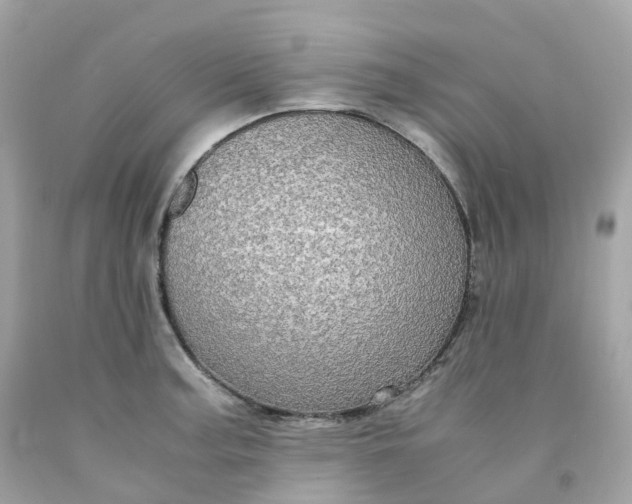 X0000091491187200709061854